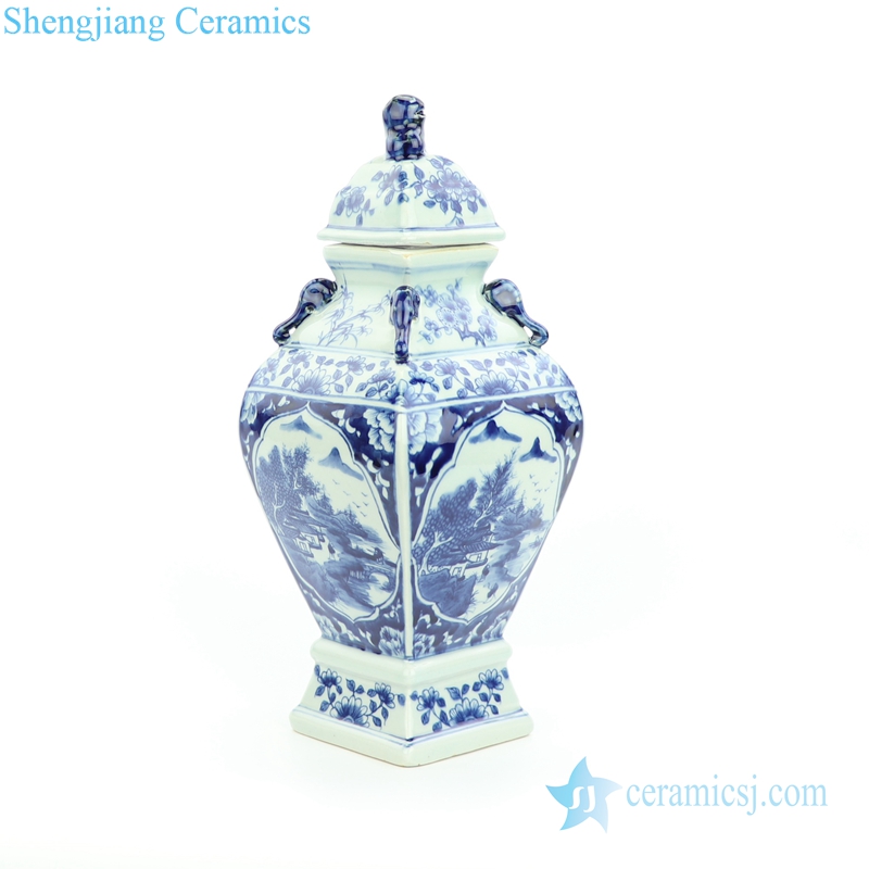 China lion tip blue and white jar